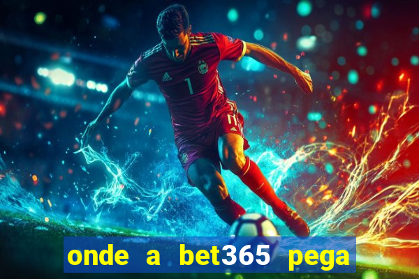 onde a bet365 pega as estatisticas